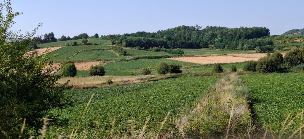 Μεγάλα Λιβάδια, Μιχάλης Σίββας. Αύγουστος 2025