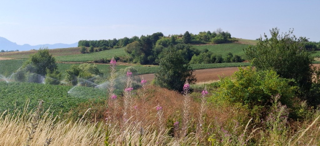 Μεγάλα Λιβάδια, Μιχάλης Σίββας. Αύγουστος 2025