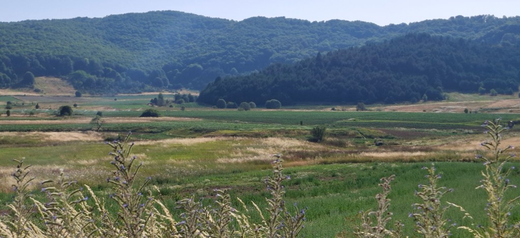 Μεγάλα Λιβάδια, Μιχάλης Σίββας. Αύγουστος 2025