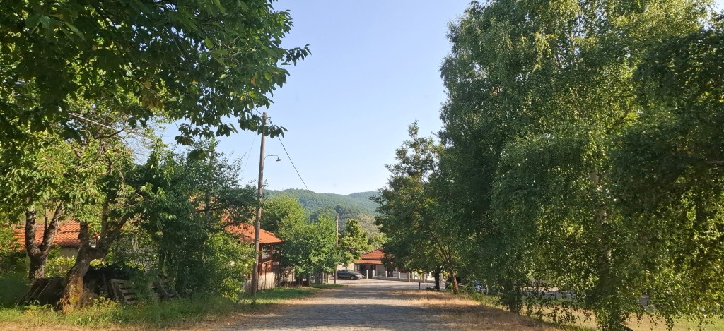 Μεγάλα Λιβάδια, Μιχάλης Σίββας. Αύγουστος 2025